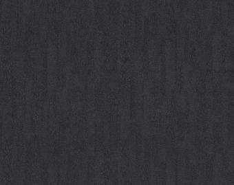 [1001111157_20] Flotex Colour у рулоні - s482001 Penang anthracite